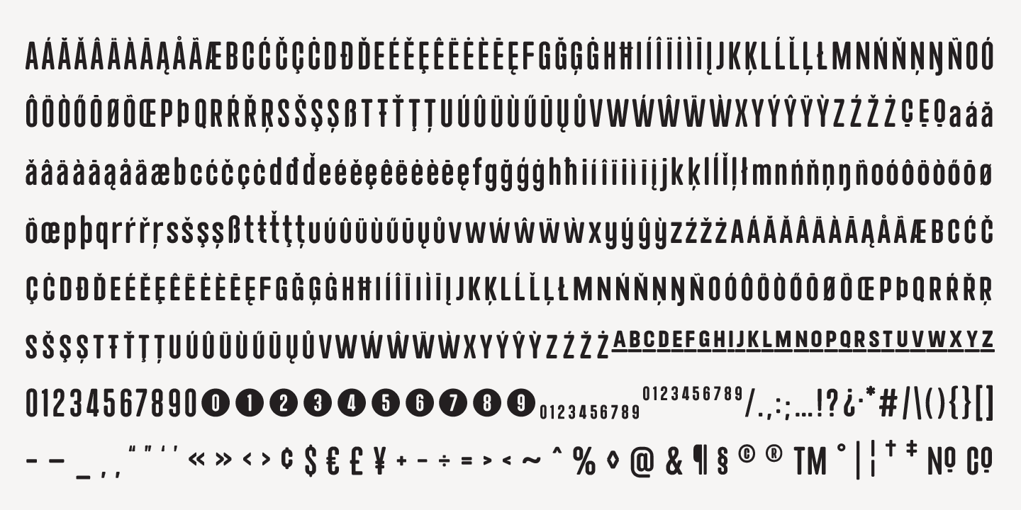 Neumatic Gothic Round Oblique Font preview
